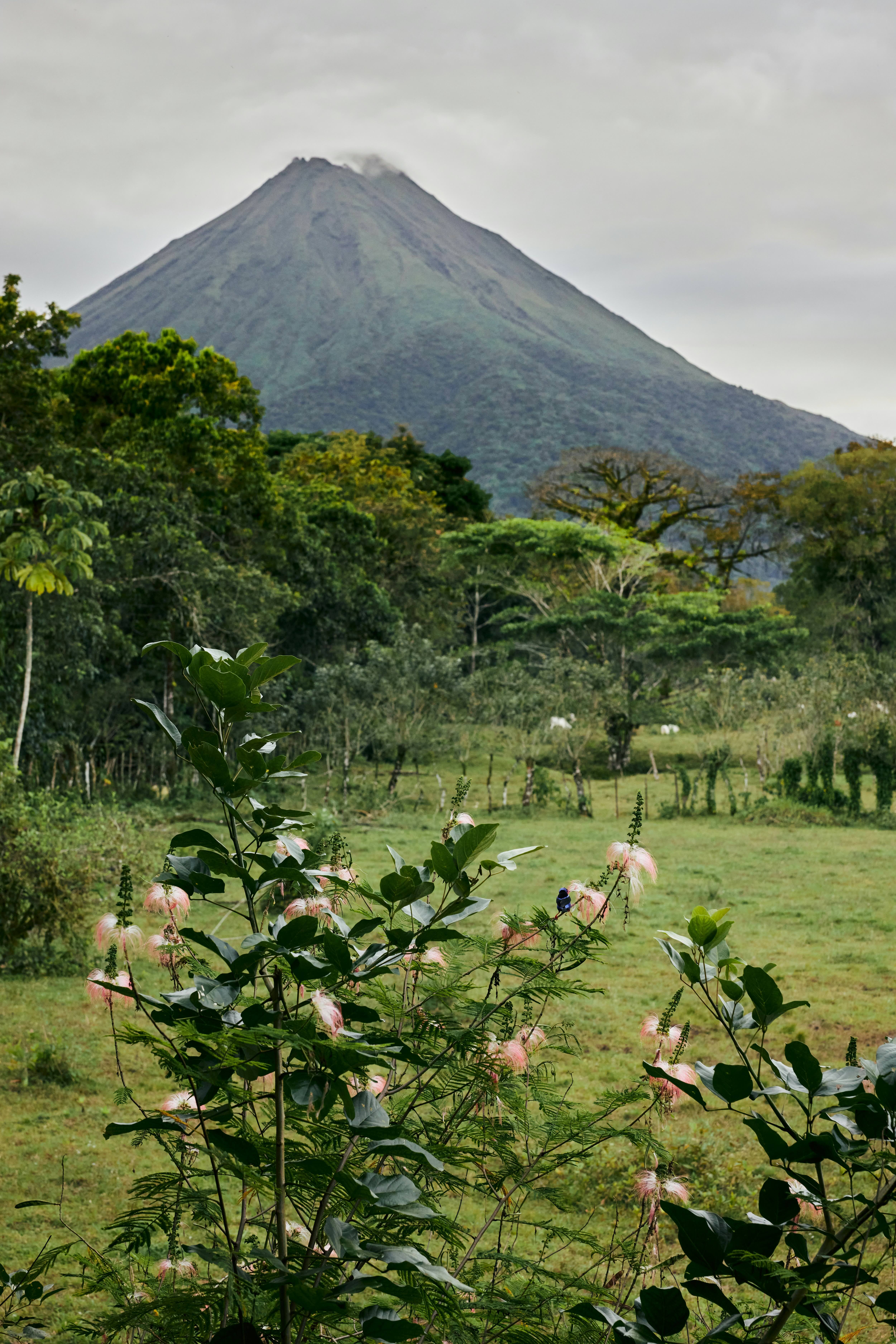 Costa Rica